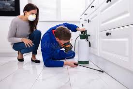 Best Real Estate Pest Inspections  in Wilton, CA